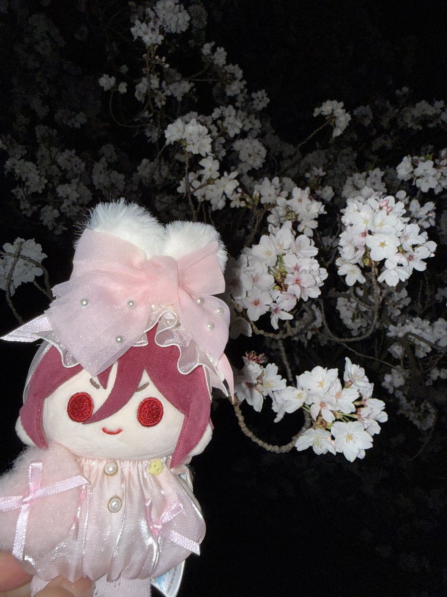 すん🐰ྀི tweet media