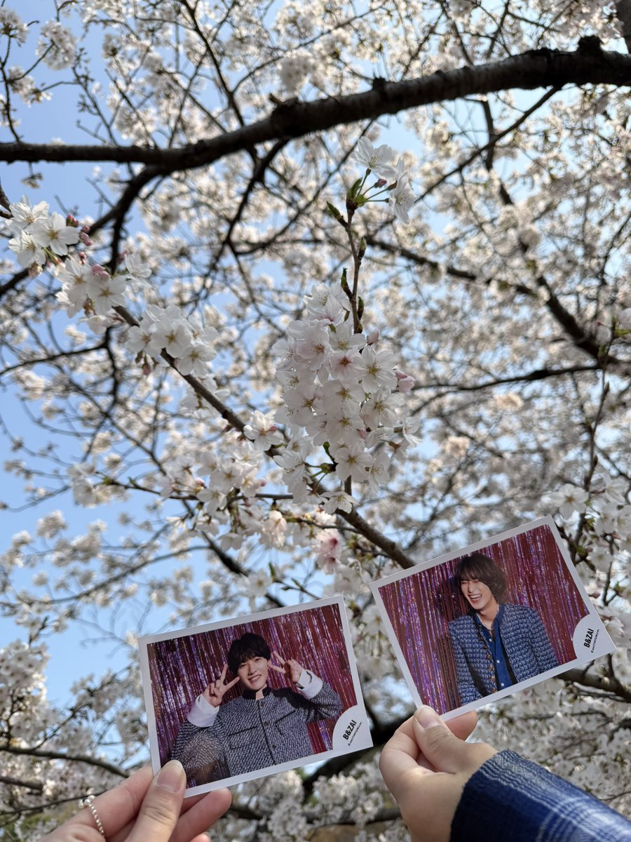 𝑺𖤐⸒⸒ tweet media