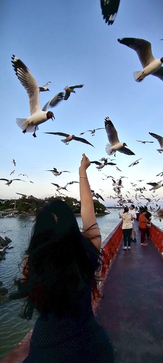 Ubecursed tweet media