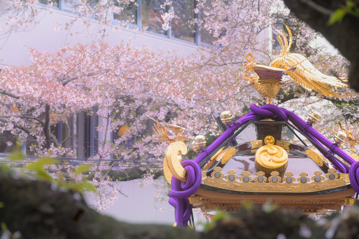 アノン📸 tweet media