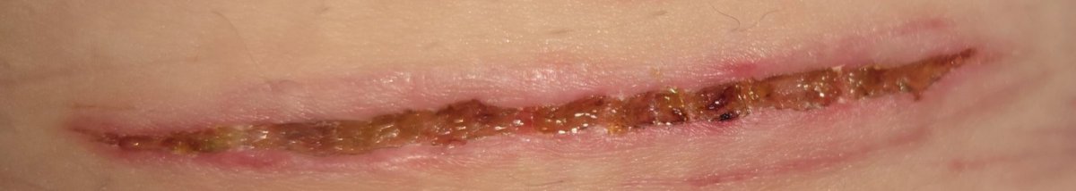 yuji of shedtwt tweet media