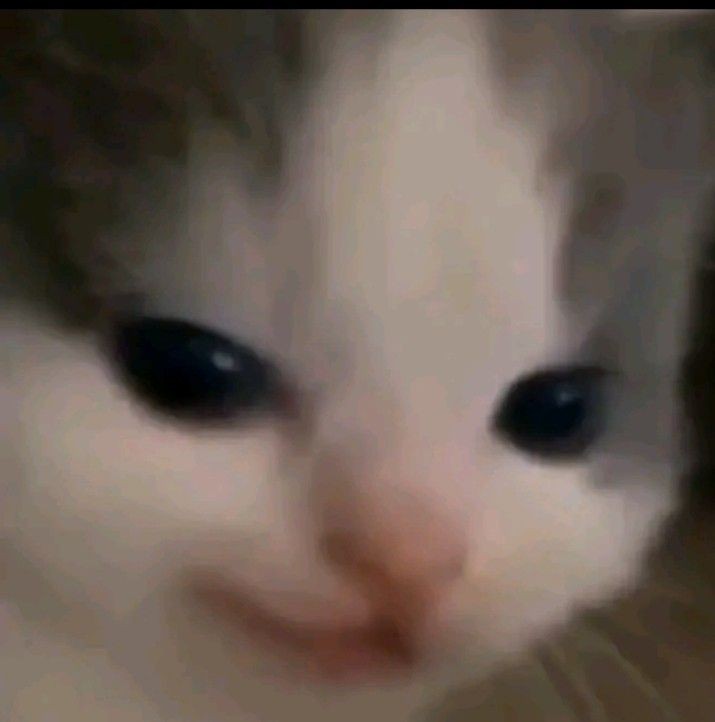 Yexikaa 🐱 ✏ tweet media