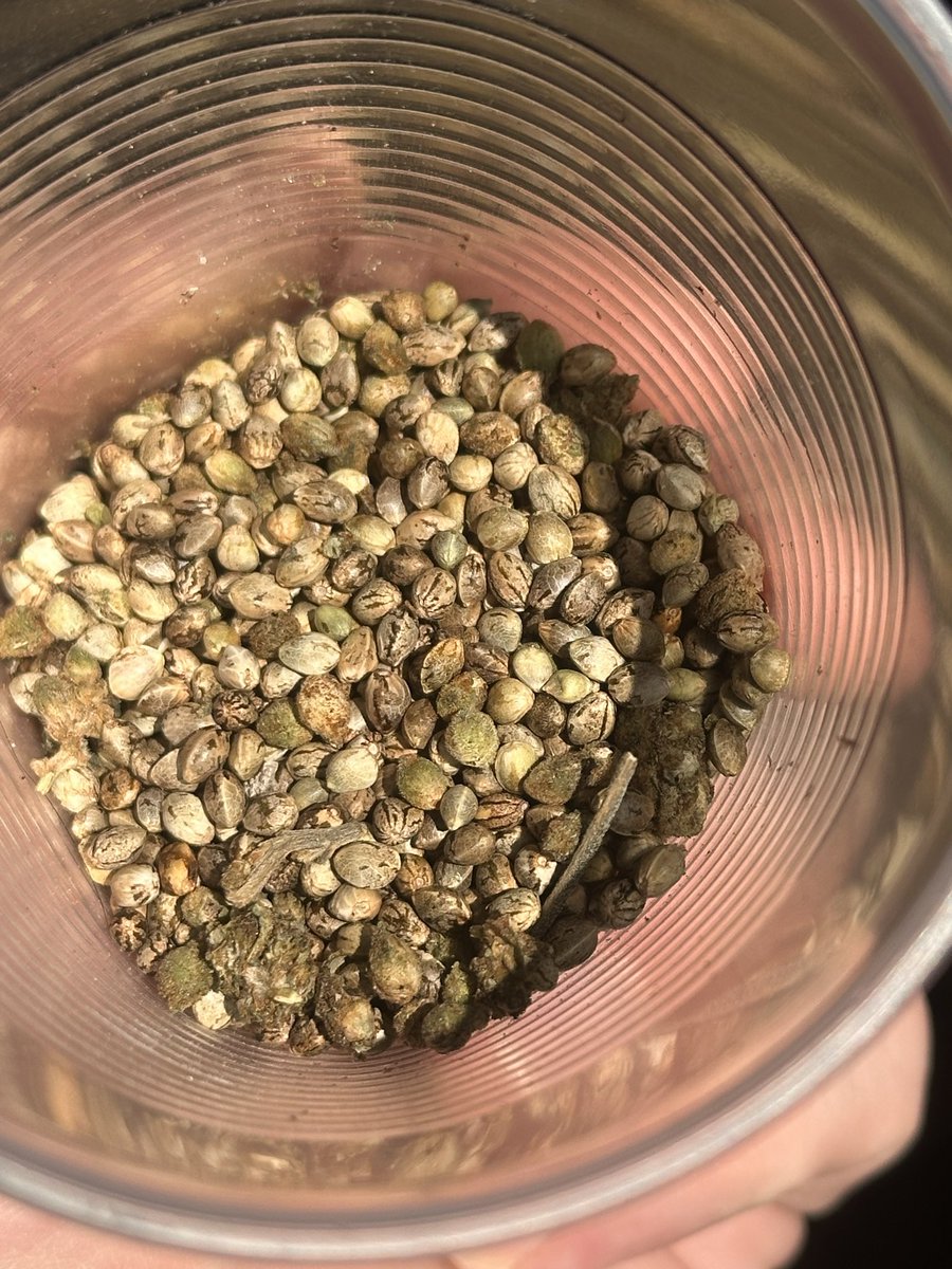 Tackett Genetics tweet media