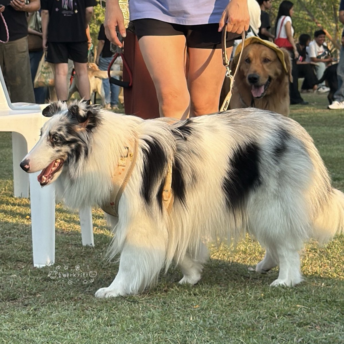 ͜·♡รู้กหม่ามี๊ คิดถึงบกพพ𓈒𓏸⸝⸝ ༘⋆ tweet media