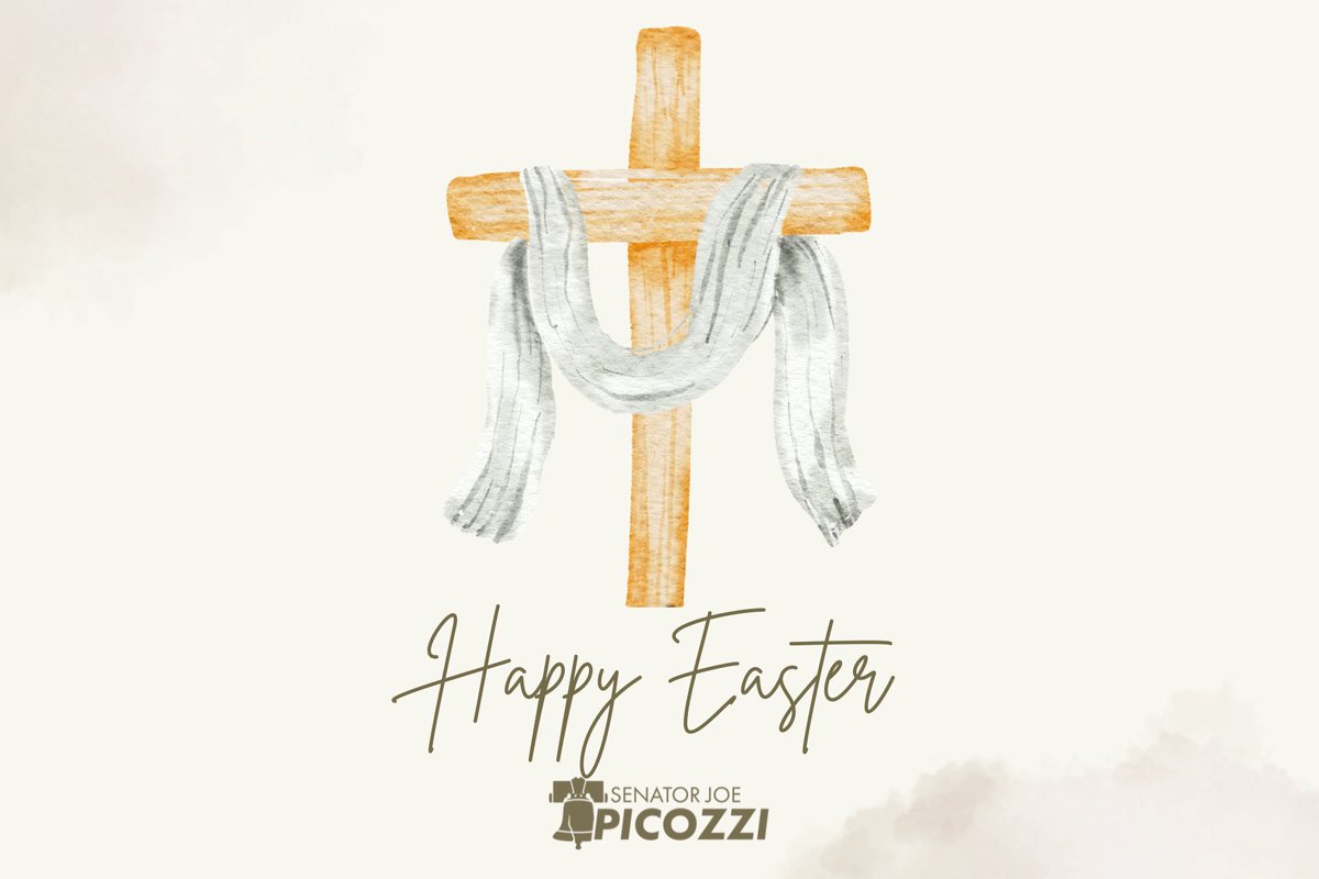 Senator Joe Picozzi tweet media