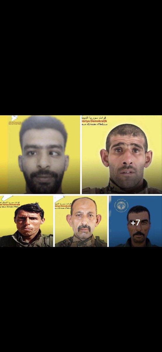 hakan hakan tweet media