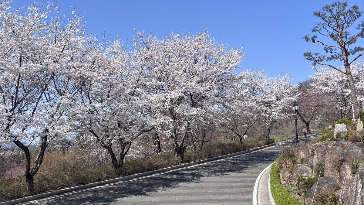 天心苑放送局【公式】｜CSWB tweet media