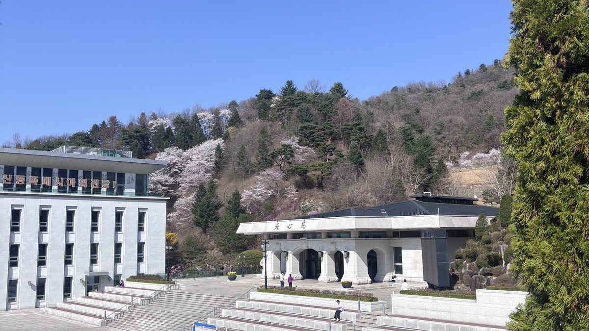 天心苑放送局【公式】｜CSWB tweet media