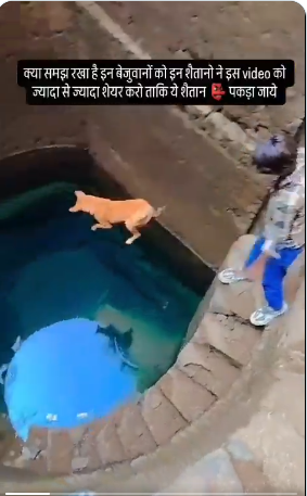 Gabriel Charro tweet media