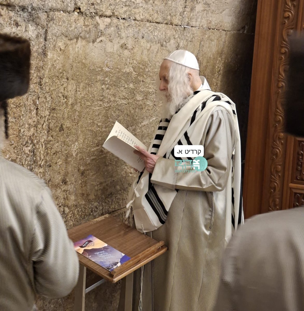 שילה פריד🇮🇱 tweet media