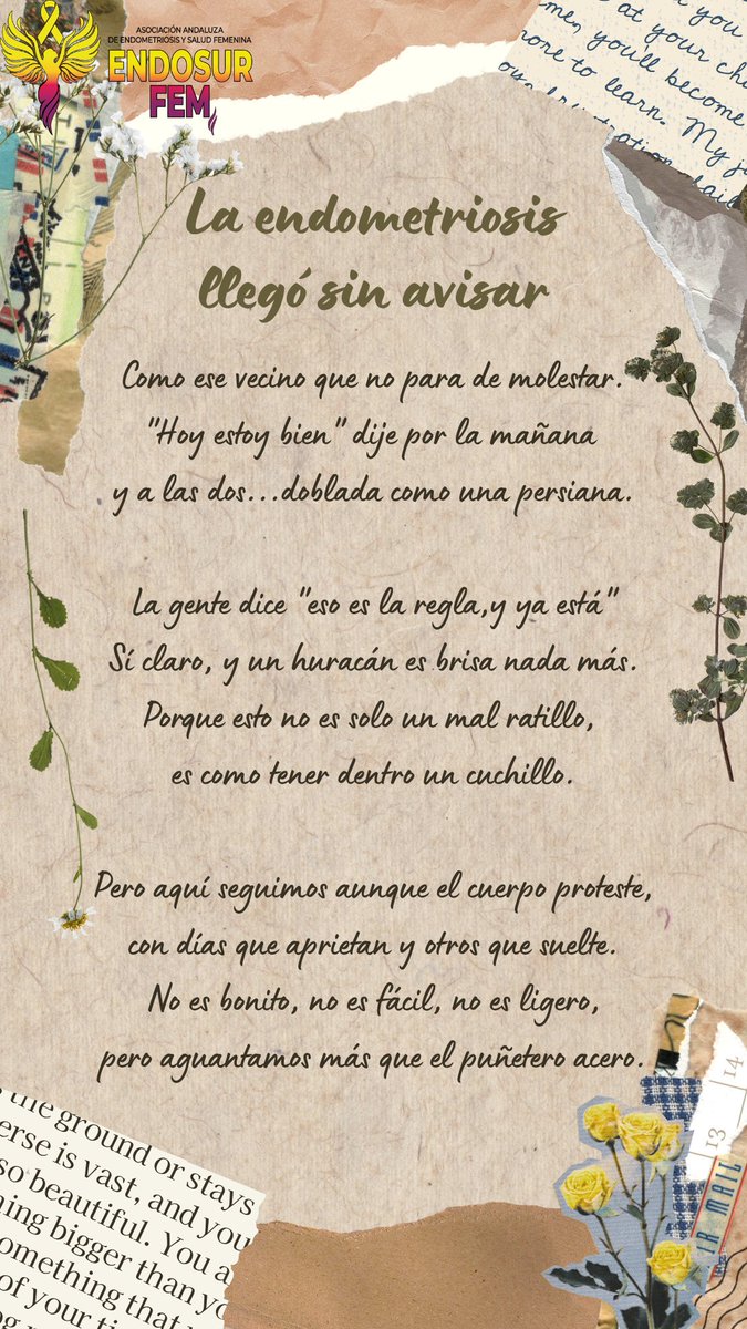 Endosur Fem tweet media