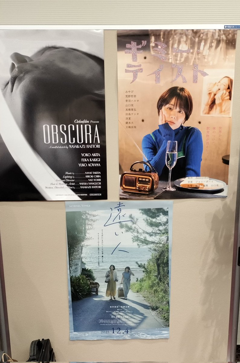 青羽ハルヨ(アオバハルヨ)🐦️←獣神 tweet media