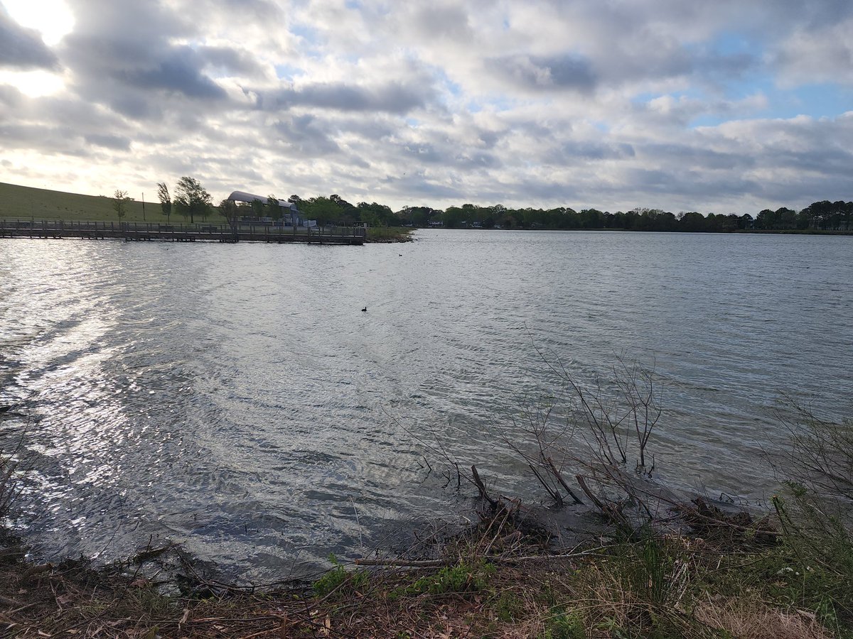 HumanityCritic tweet media