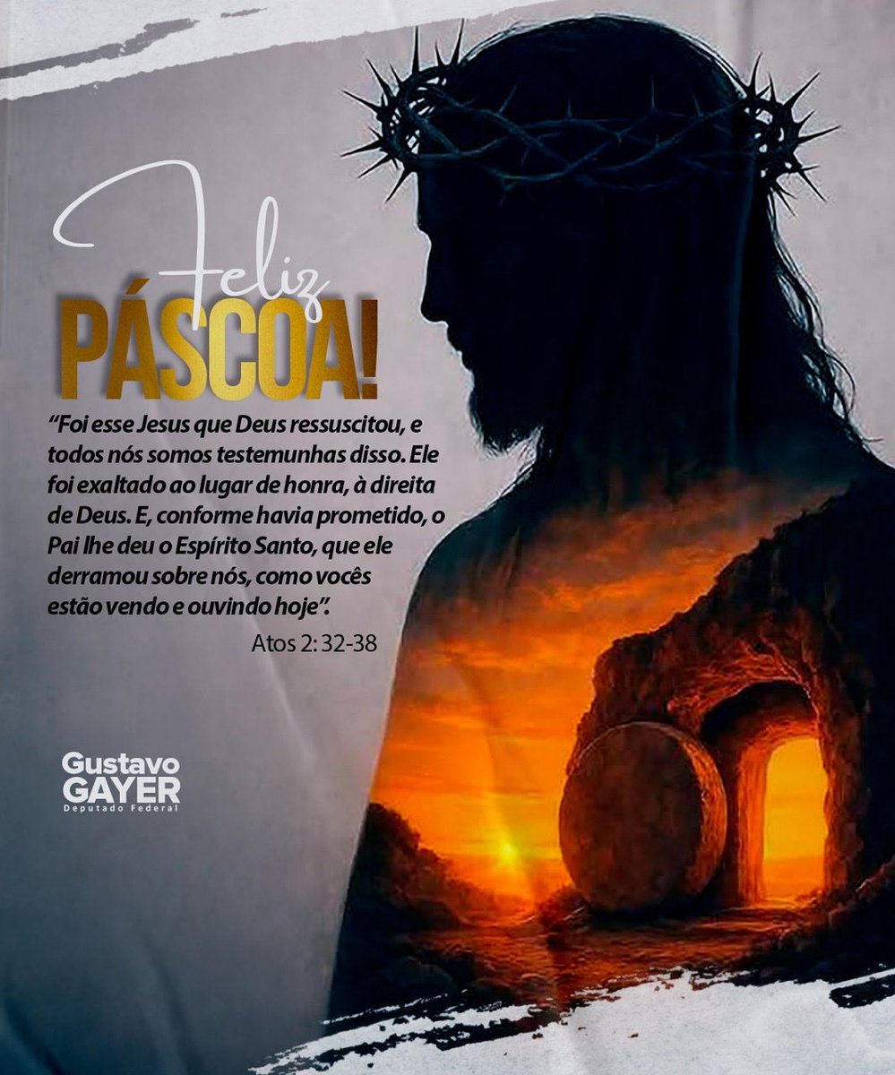 Gustavo Gayer tweet media