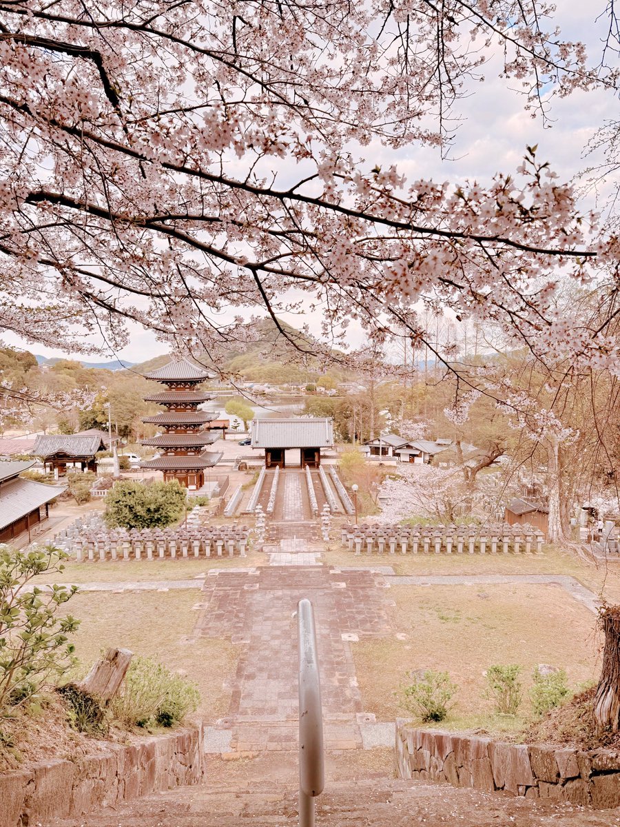sweetstringstak's tweet photo. 【いつもの練習会場・仏生山公園近くにあるお寺】

📿法然寺
旧高松藩主松平家の菩提寺
釈迦涅槃像があります https://t.co/9ZhsNU9e22