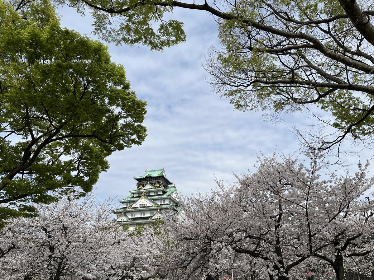 minipops tweet media