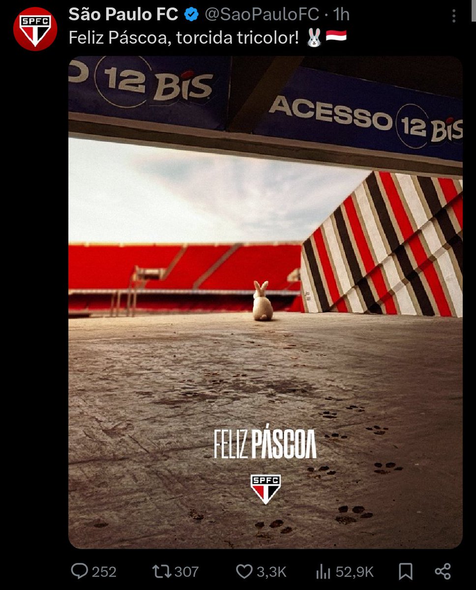 Não Esqueço tweet media