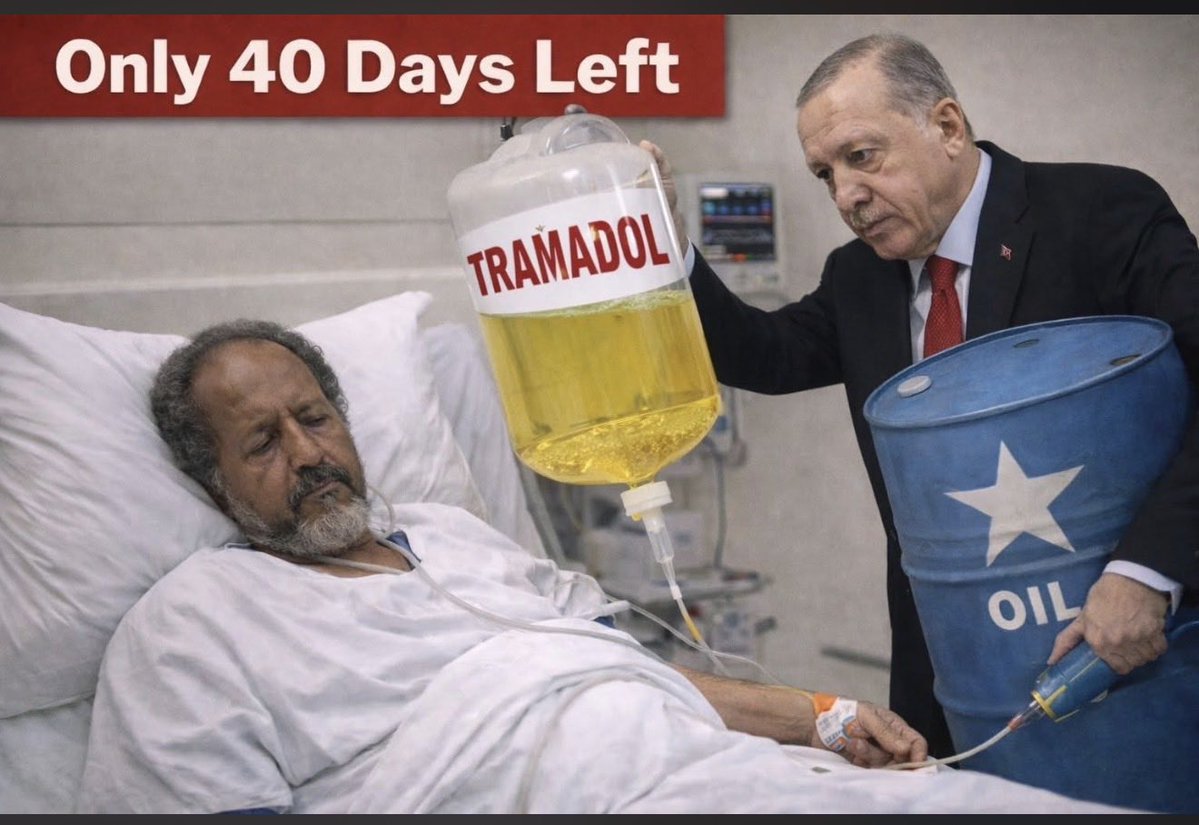 Prof Abdinasir Ismail “SOLA” PhD tweet media