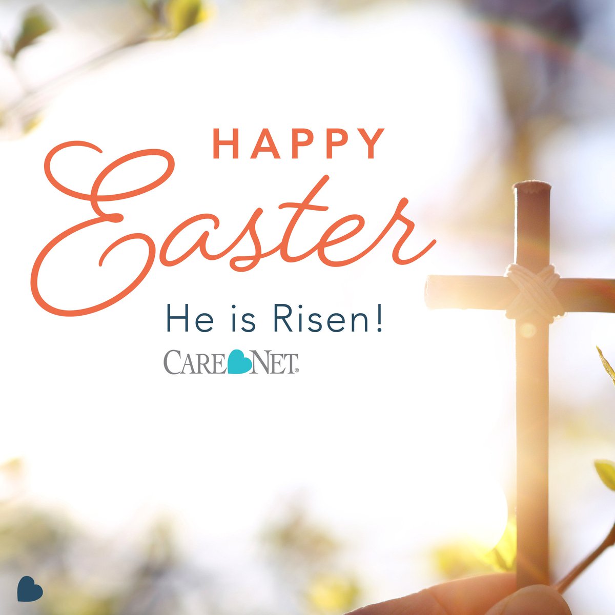 Care Net tweet media