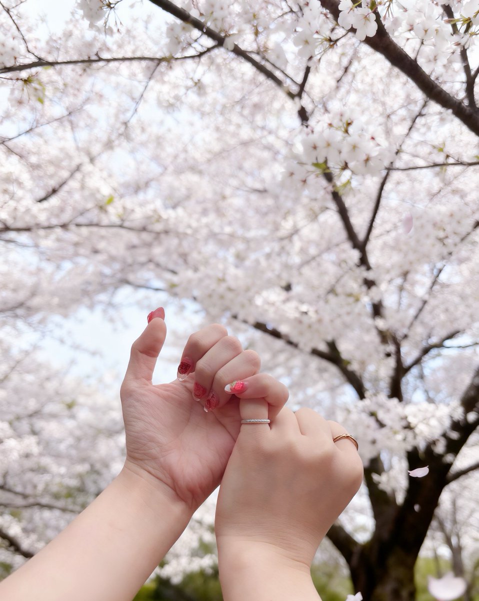 ็ฐไธญใใใจใพๅญ tweet media