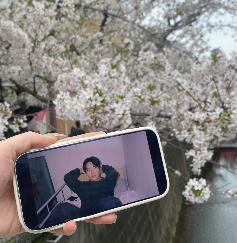 たんたん😆✩.*˚ tweet media