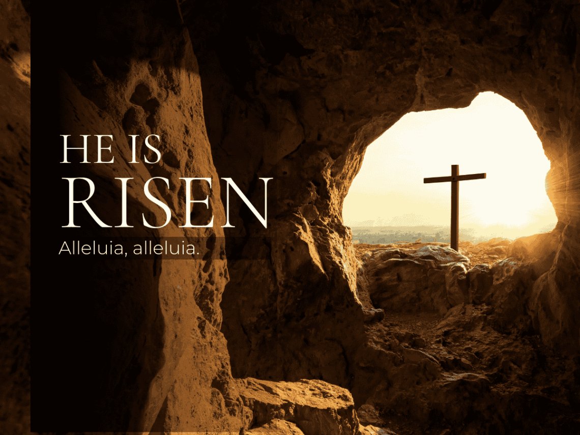 RoxH✝️🇺🇸 (@hayrox11) on Twitter photo 