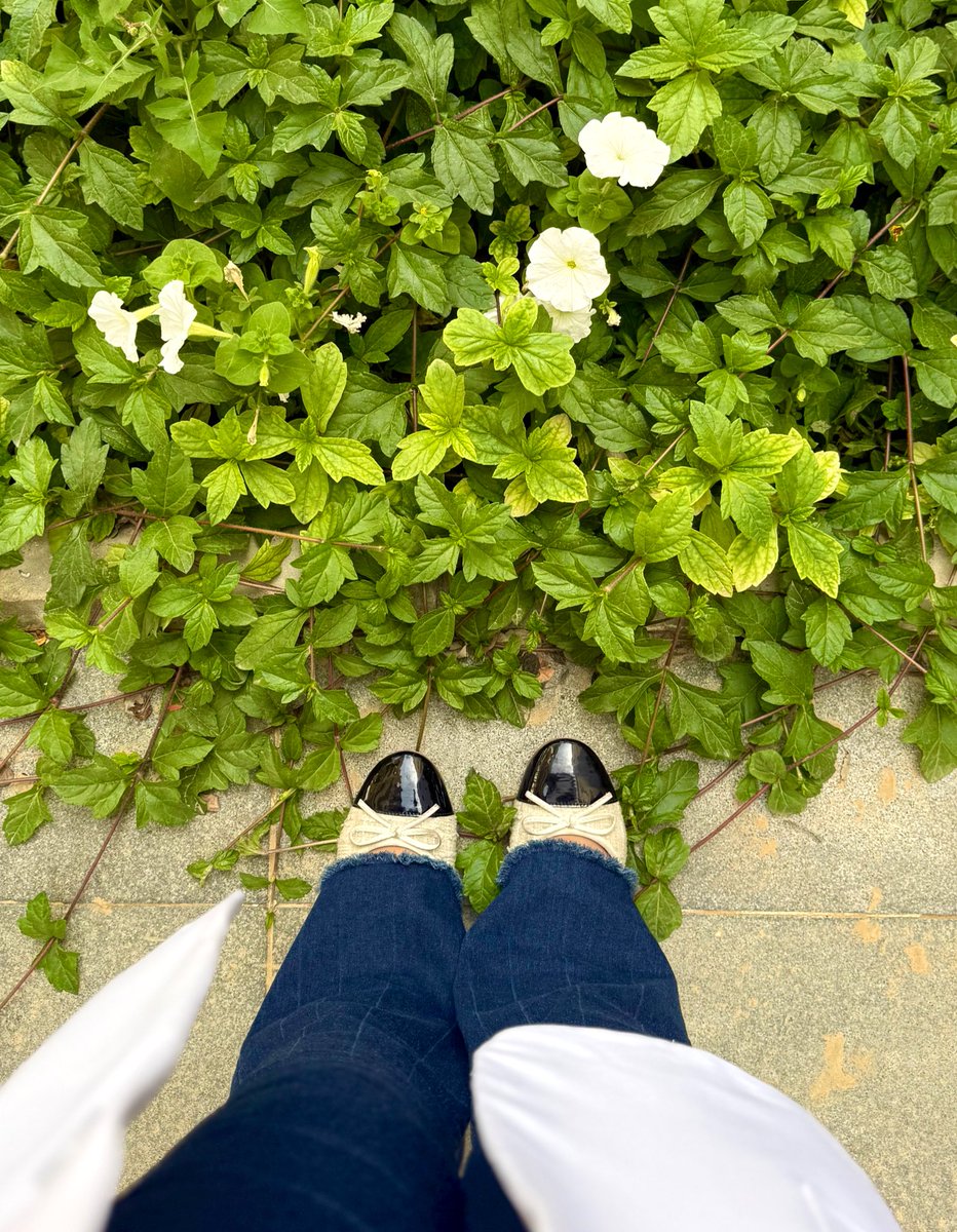 د.ميّاده👩🏻‍⚕️ tweet media