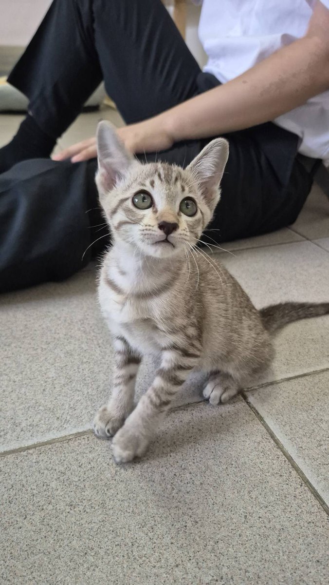 JohnJud | CUVET Animal Welfare Club tweet media