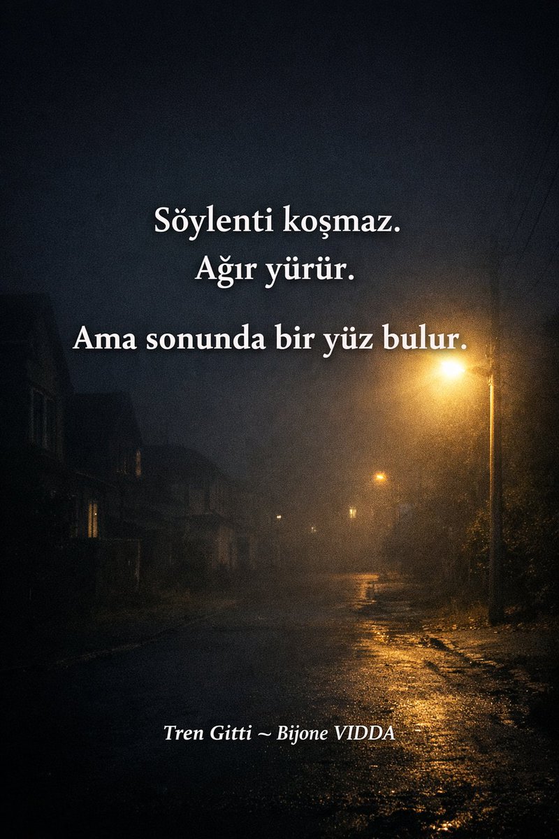 Bijone VIDDA tweet media