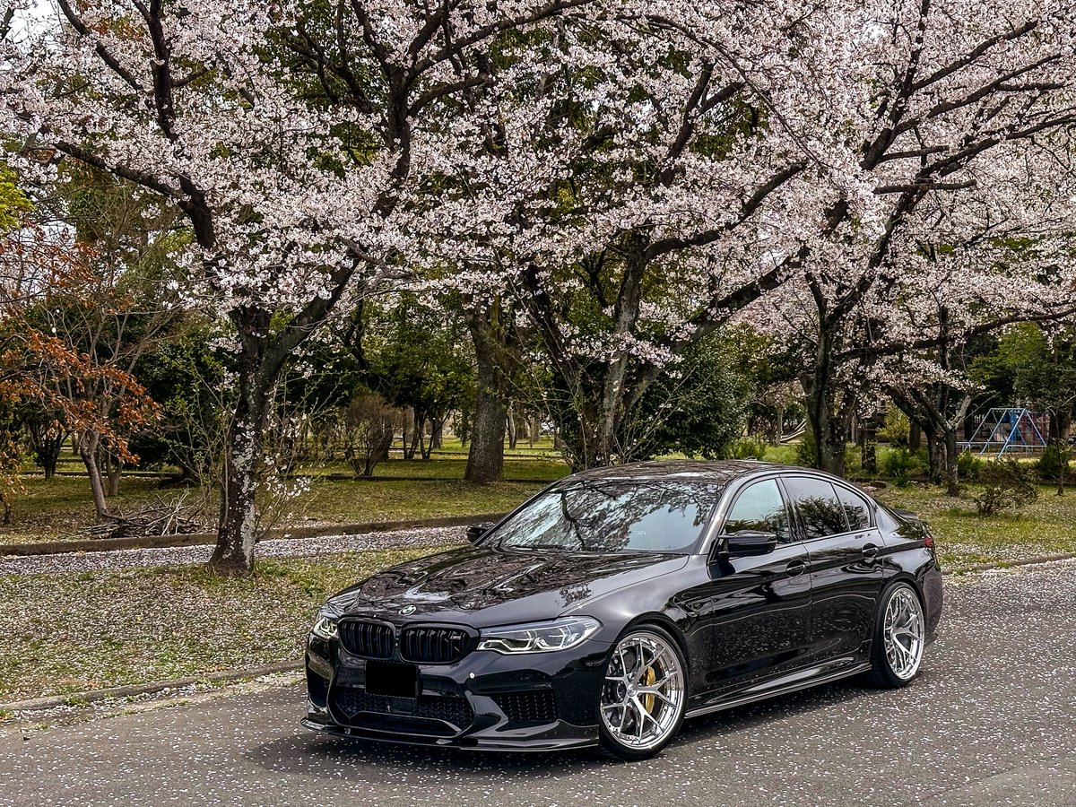 fivemeteor_bmw's tweet photo. 久しぶりに車を撮影📷
薄曇りがｲﾀｲ😵‍💫 https://t.co/r6dzZaROUW