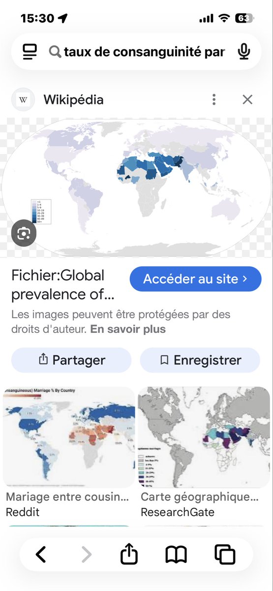 Starr Lion tweet media