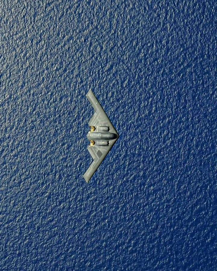 rare.jpg tweet media