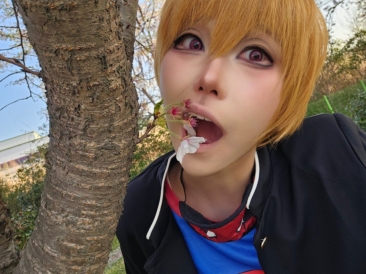 카미코 tweet media