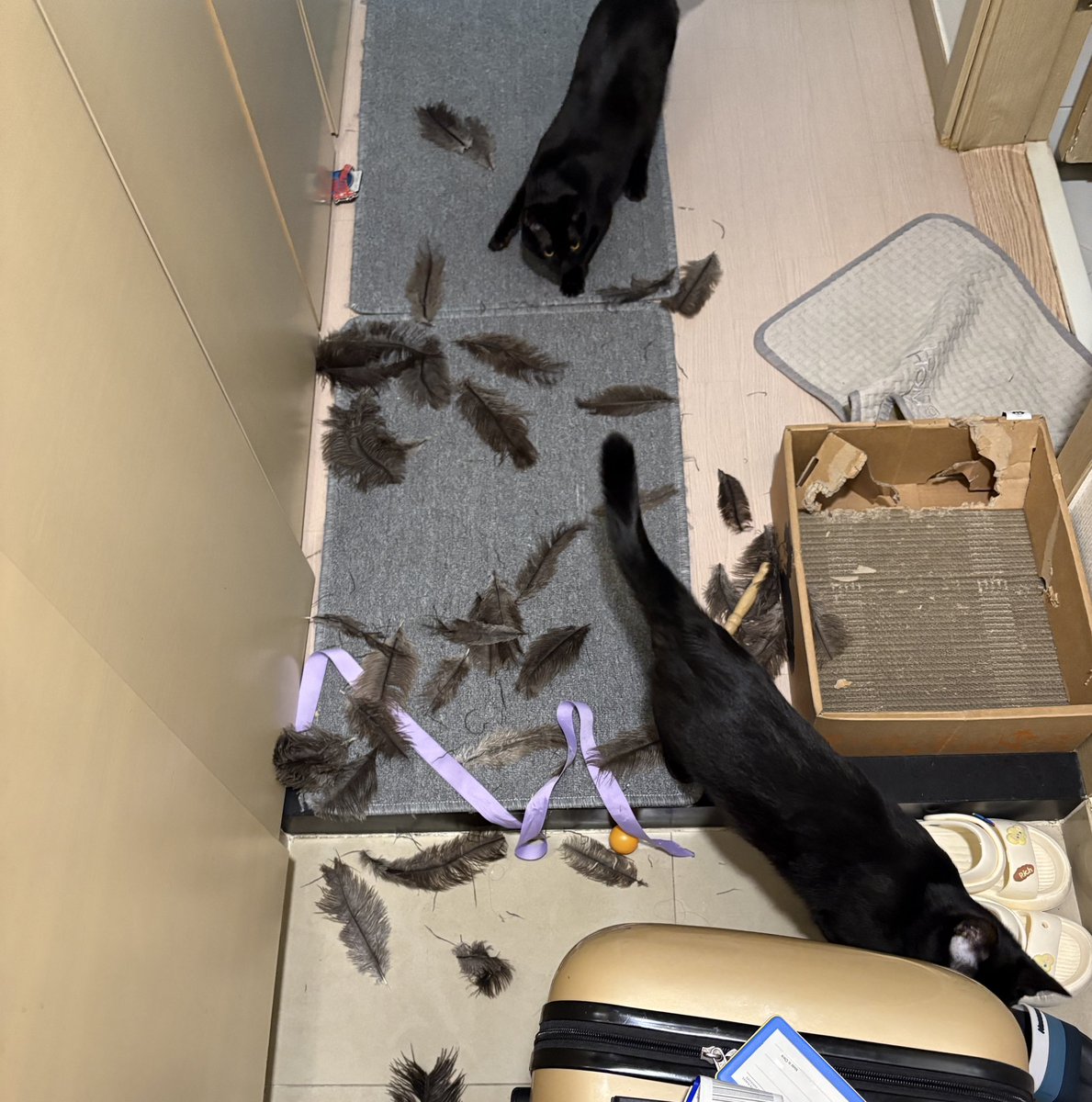 어둠의 ,, 딥 ㅅㅏ .. tweet media