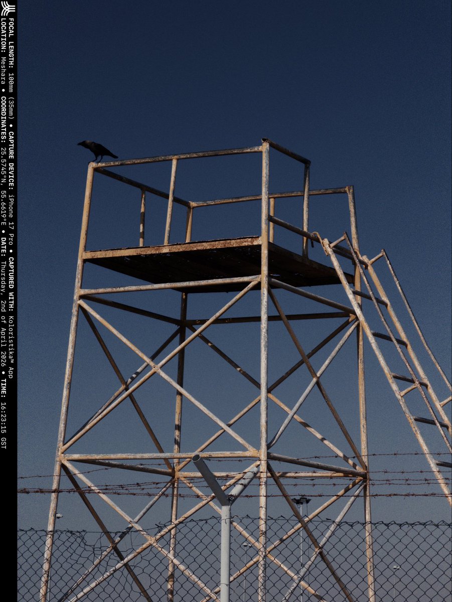 Renato Renierra tweet media