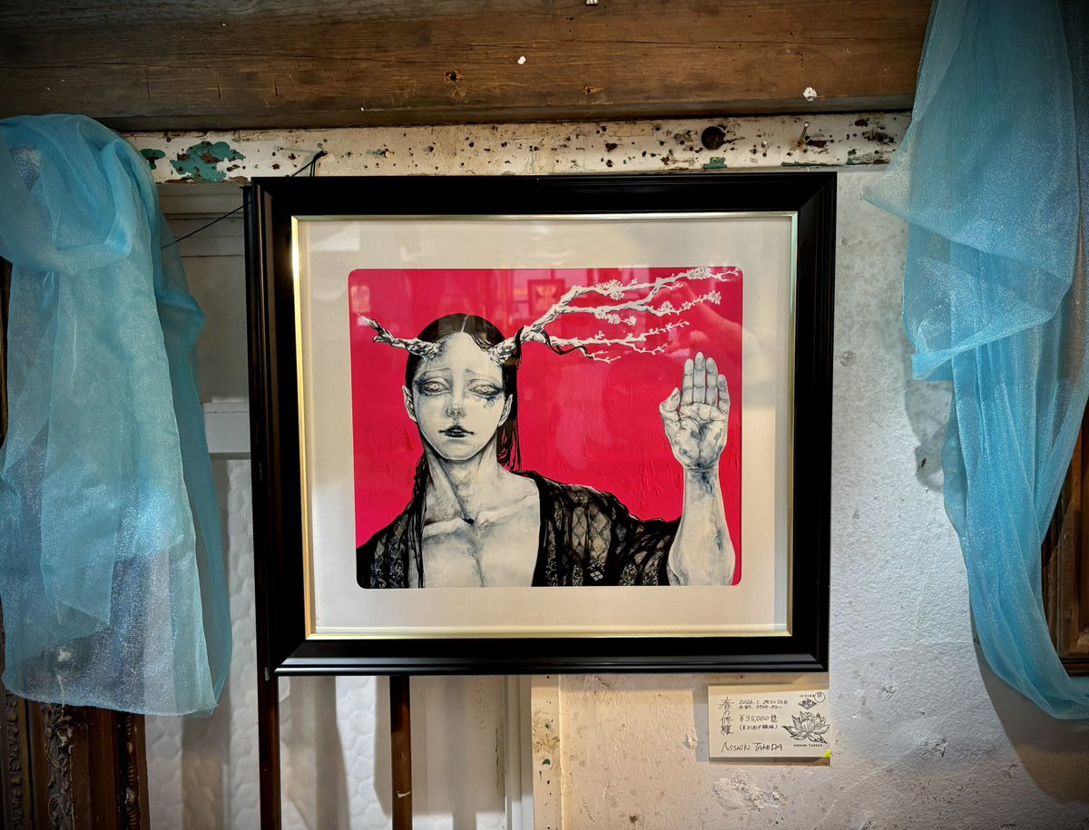 銀狐久/ぎんこきゅう tweet media