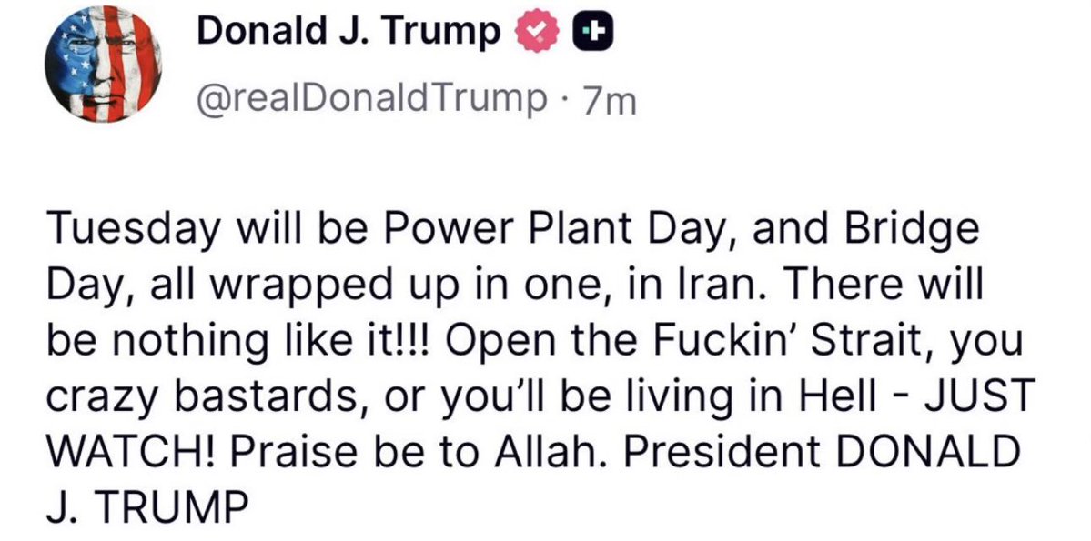 Bully BullShark🦈 tweet media