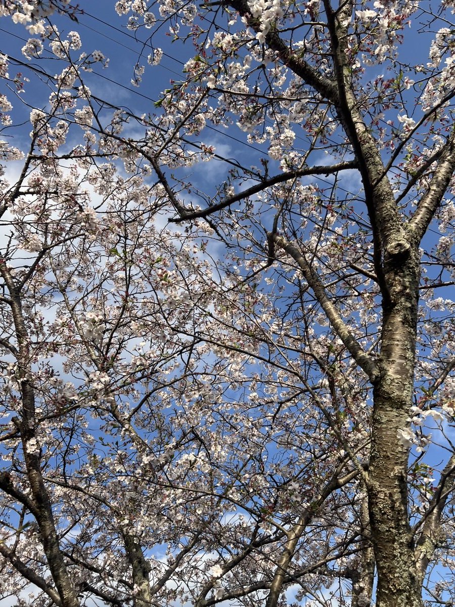 松田宣浩 tweet media