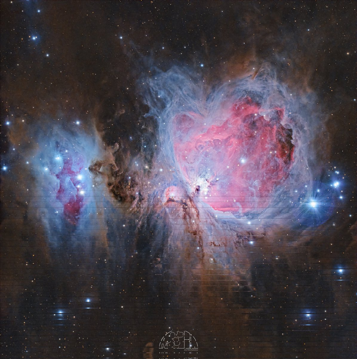 سعِيد 👽 tweet media