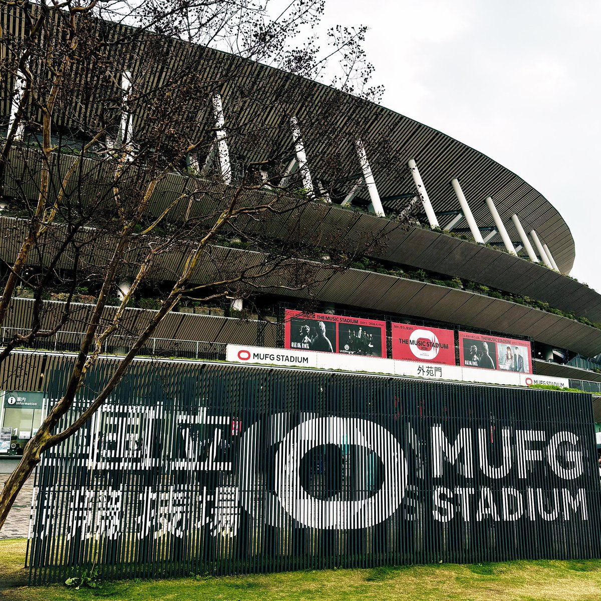 大関英里 tweet media