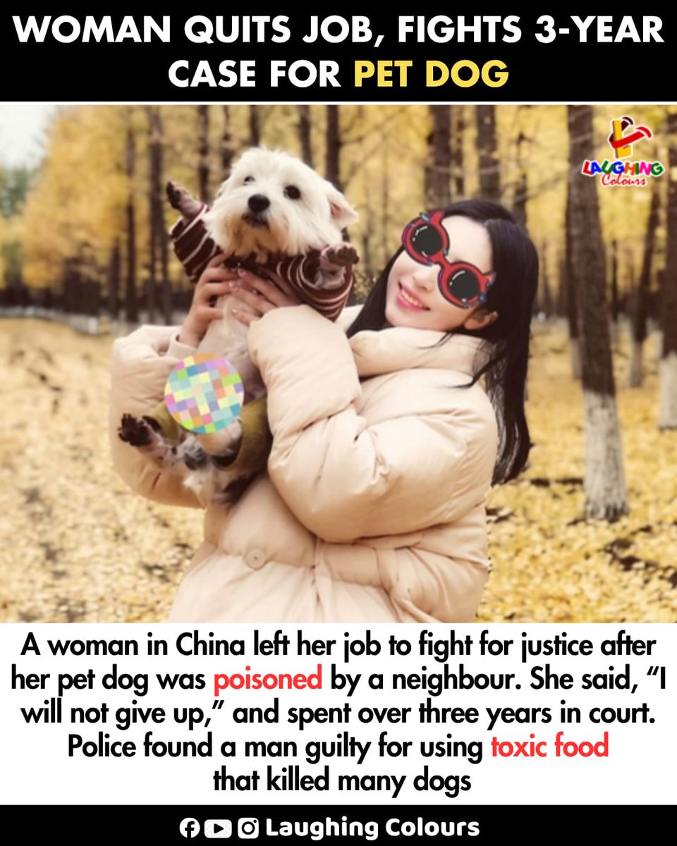 LaughingColours's tweet image. Woman fights for pet justice 🐶

#AnimalLovers #Justice #PetCare #Awareness