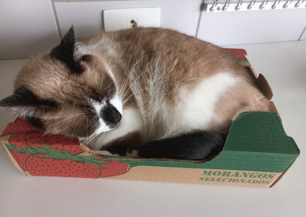 eris 😼 tweet media