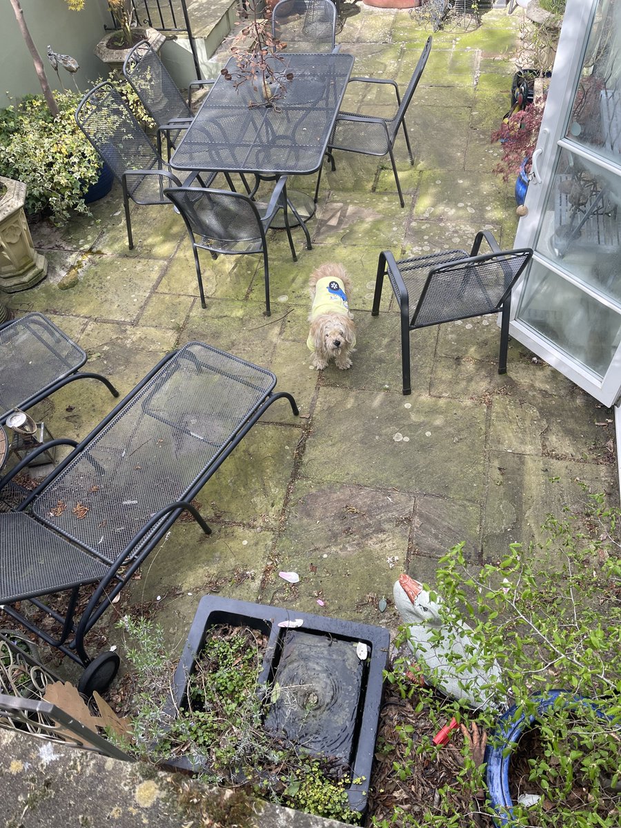 Lord Alfred’s Diary tweet media