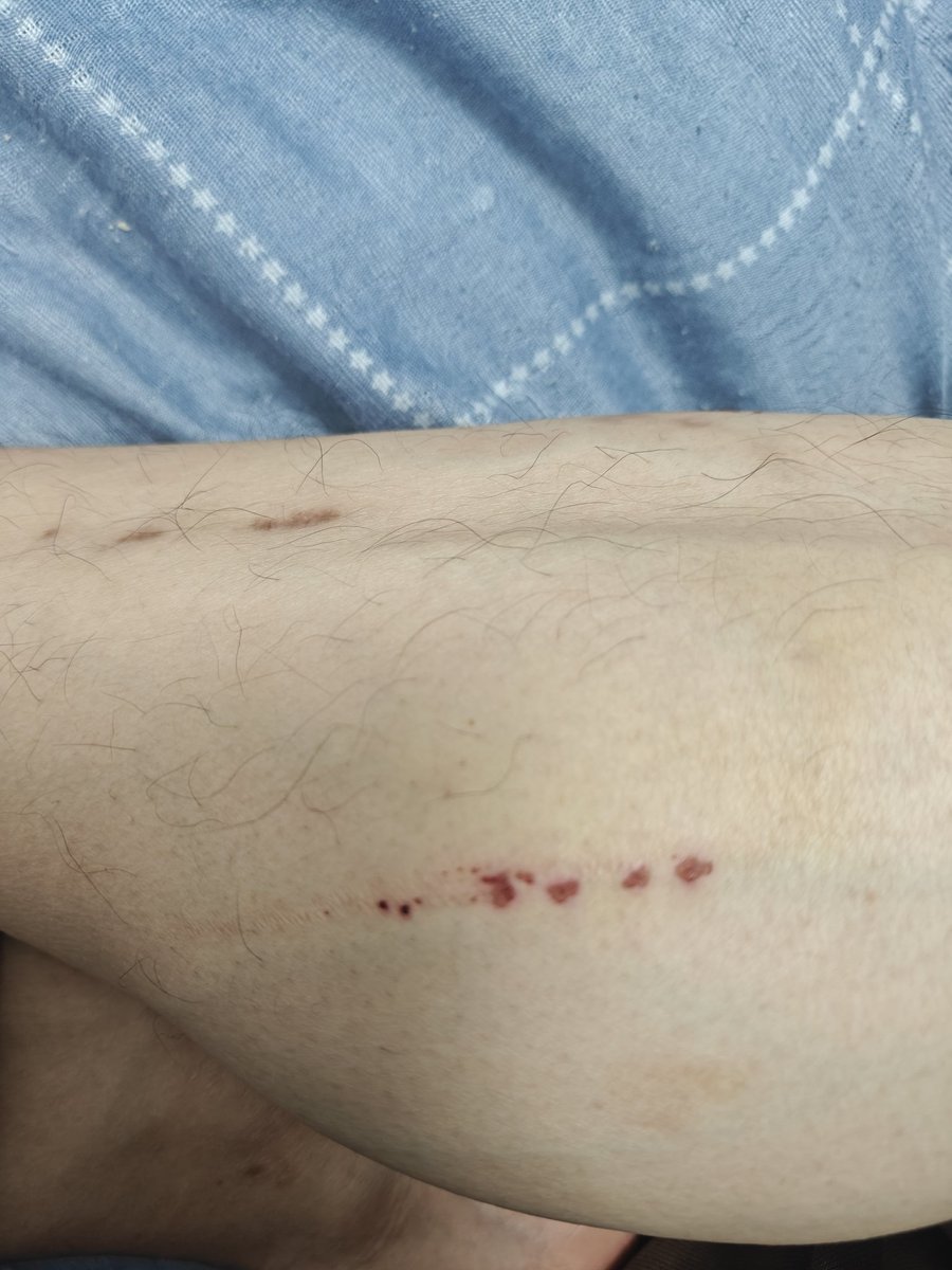 赌王的一生 tweet media