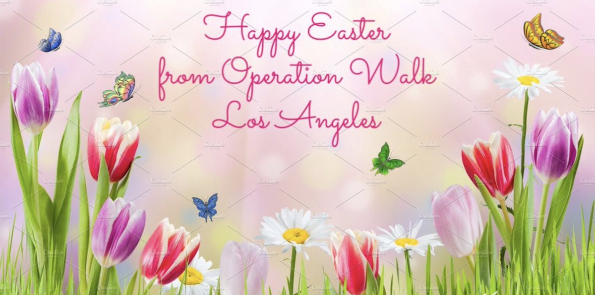 Operation Walk LA tweet media