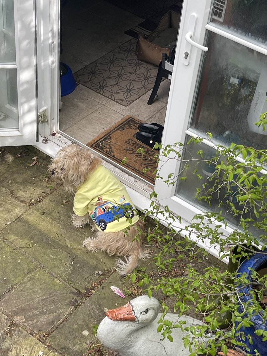 Lord Alfred’s Diary tweet media