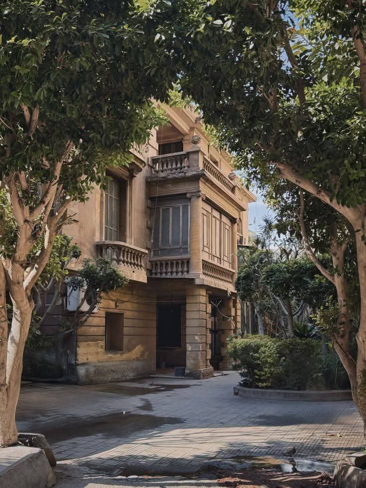 ☥3 49† 𓂀 tweet media