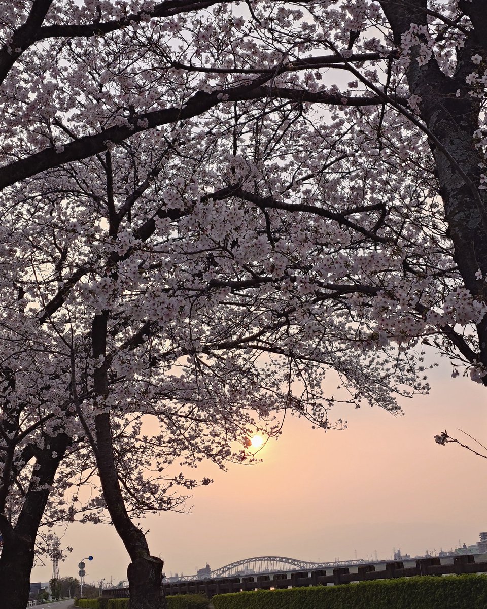 TAKA-KAJI tweet media