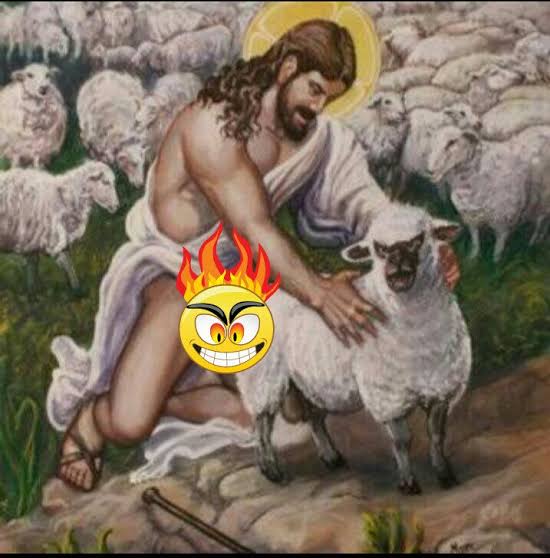 duke of hazard tweet media