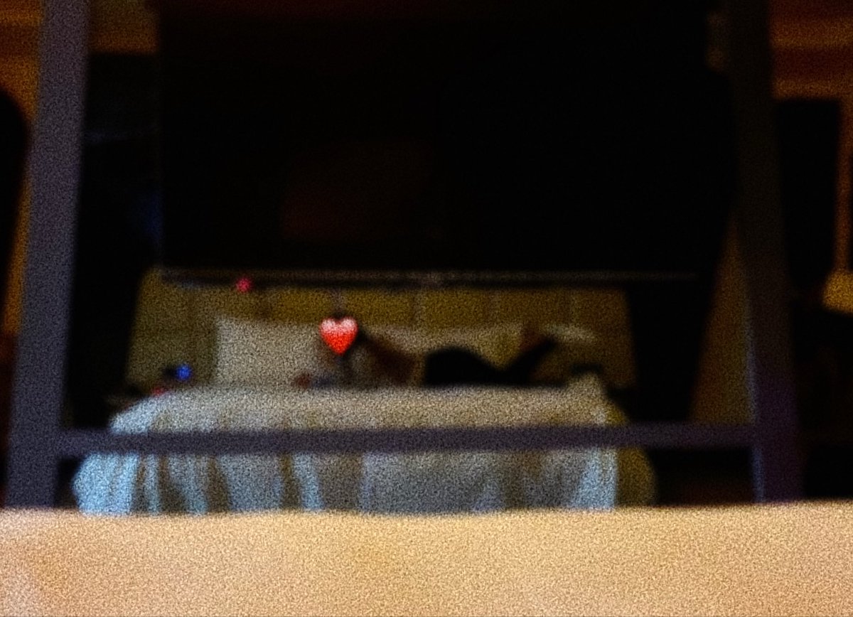 小陳²¹🫶🏻 tweet media